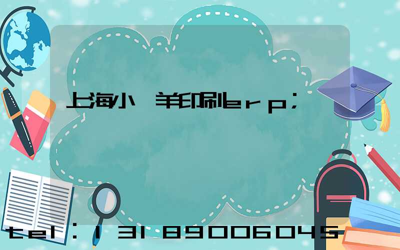 上海小羚羊印刷erp